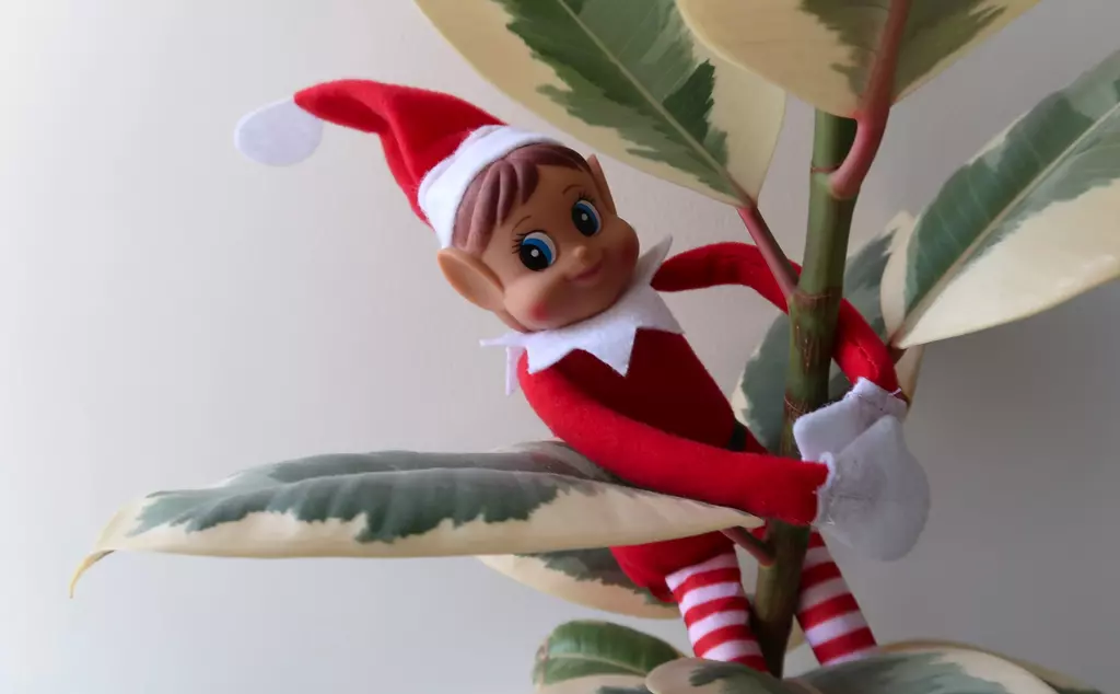 Animal themed Elf on the shelf Ideas Whipsnade Zoo